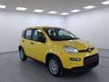 Fiat Panda Pandina 1.0 firefly hybrid 5pti KM ZERO-VARICOLORI Wit - thumbnail 12