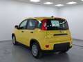 Fiat Panda Pandina 1.0 firefly hybrid 5pti KM ZERO-VARICOLORI Wit - thumbnail 11