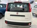 Fiat Panda Pandina 1.0 firefly hybrid 5pti KM ZERO-VARICOLORI Wit - thumbnail 6