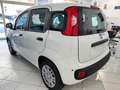 Fiat Panda Pandina 1.0 firefly hybrid 5pti KM ZERO-VARICOLORI Wit - thumbnail 5