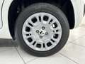 Fiat Panda Pandina 1.0 firefly hybrid 5pti KM ZERO-VARICOLORI Wit - thumbnail 8