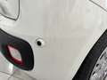 Fiat Panda Pandina 1.0 firefly hybrid 5pti KM ZERO-VARICOLORI Wit - thumbnail 7