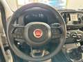 Fiat Panda Pandina 1.0 firefly hybrid 5pti KM ZERO-VARICOLORI Wit - thumbnail 17