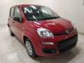 Fiat Panda Pandina 1.0 firefly hybrid 5pti KM ZERO-VARICOLORI Wit - thumbnail 9