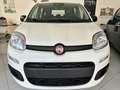 Fiat Panda Pandina 1.0 firefly hybrid 5pti KM ZERO-VARICOLORI Wit - thumbnail 3