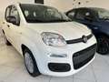 Fiat Panda Pandina 1.0 firefly hybrid 5pti KM ZERO-VARICOLORI Wit - thumbnail 2