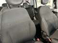 Fiat Panda Pandina 1.0 firefly hybrid 5pti KM ZERO-VARICOLORI Wit - thumbnail 22