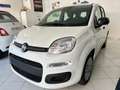 Fiat Panda Pandina 1.0 firefly hybrid 5pti KM ZERO-VARICOLORI Wit - thumbnail 1