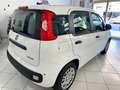 Fiat Panda Pandina 1.0 firefly hybrid 5pti KM ZERO-VARICOLORI Wit - thumbnail 4