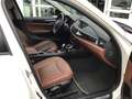 BMW X1 20d sDrive Sport Aut.~Navi~Pano.~Leder~Xenon Weiß - thumbnail 12