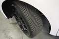 Ford Edge 2.0 TDCI 210 CV AWD S&S Powershift ST-Line Bianco - thumbnail 22