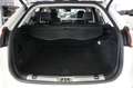 Ford Edge 2.0 TDCI 210 CV AWD S&S Powershift ST-Line Bianco - thumbnail 24