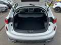 GWM HAVAL Jolion Pro PREMIUM  1.5 Turbo 7-Gang DCT 8fach bereift Weiß - thumbnail 12