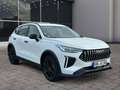 GWM HAVAL Jolion Pro PREMIUM  1.5 Turbo 7-Gang DCT 8fach bereift Weiß - thumbnail 7