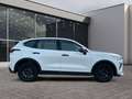 GWM HAVAL Jolion Pro PREMIUM  1.5 Turbo 7-Gang DCT 8fach bereift Weiß - thumbnail 6
