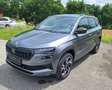 Skoda Karoq Karoq 2,0 TDI 4x4 DSG Sportline Sportline Grau - thumbnail 1