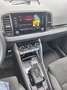 Skoda Karoq Karoq 2,0 TDI 4x4 DSG Sportline Sportline Grau - thumbnail 9