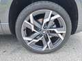 Skoda Karoq Karoq 2,0 TDI 4x4 DSG Sportline Sportline Grau - thumbnail 6