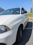 SEAT Ibiza Ibiza 1.4TDi Reference 80 Reference Blanco - thumbnail 10