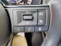 Nissan Qashqai MHEV 140 CV Acenta Schwarz - thumbnail 19