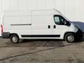 Opel Movano 2.2 D L2H2 2WD VA Edit. RFK~KLIMA~GRA~DAB Білий - thumbnail 8