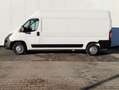Opel Movano 2.2 D L2H2 2WD VA Edit. RFK~KLIMA~GRA~DAB Білий - thumbnail 9