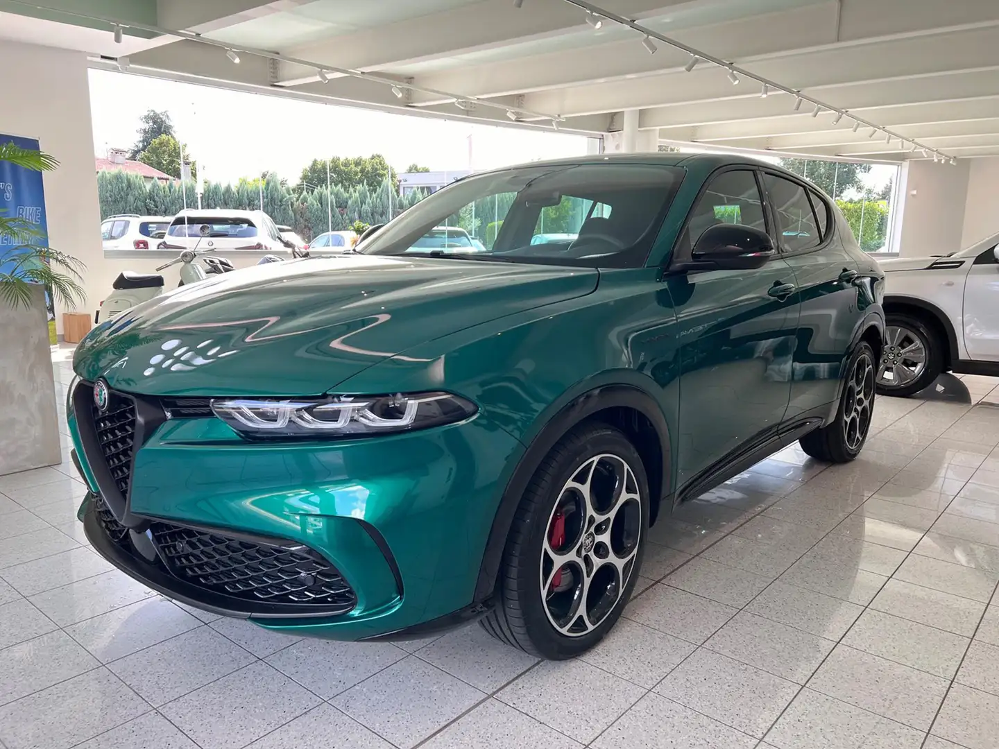 Alfa Romeo Tonale 1.6 diesel 130 CV TCT6 Veloce - VARI COLORI! Verde - 1