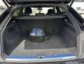 Audi Q8 50 TDI quattro competition plus S Line Negro - thumbnail 21