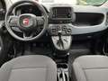 Fiat Panda 4x2 FireFly Hybrid 70 Pandina Nero - thumbnail 5