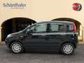Fiat Panda 4x2 FireFly Hybrid 70 Pandina Nero - thumbnail 3