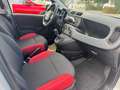 Fiat Panda Easy #WKR #KD NEU #SR NEU - thumbnail 11