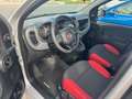 Fiat Panda Easy #WKR #KD NEU #SR NEU - thumbnail 8