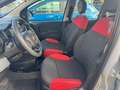 Fiat Panda Easy #WKR #KD NEU #SR NEU - thumbnail 9