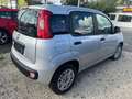 Fiat Panda Easy #WKR #KD NEU #SR NEU - thumbnail 4