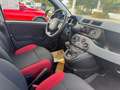 Fiat Panda Easy #WKR #KD NEU #SR NEU - thumbnail 10