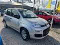 Fiat Panda Easy #WKR #KD NEU #SR NEU - thumbnail 2