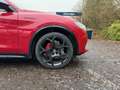 Alfa Romeo Stelvio 2.0 Turbo 16V Competizione Q4 (EURO 6d) Rot - thumbnail 6
