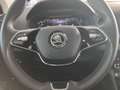 Skoda Karoq 1.5 TSI Tour Automatik - Schiebed./ Matrix-LED/ AH Bleu - thumbnail 23