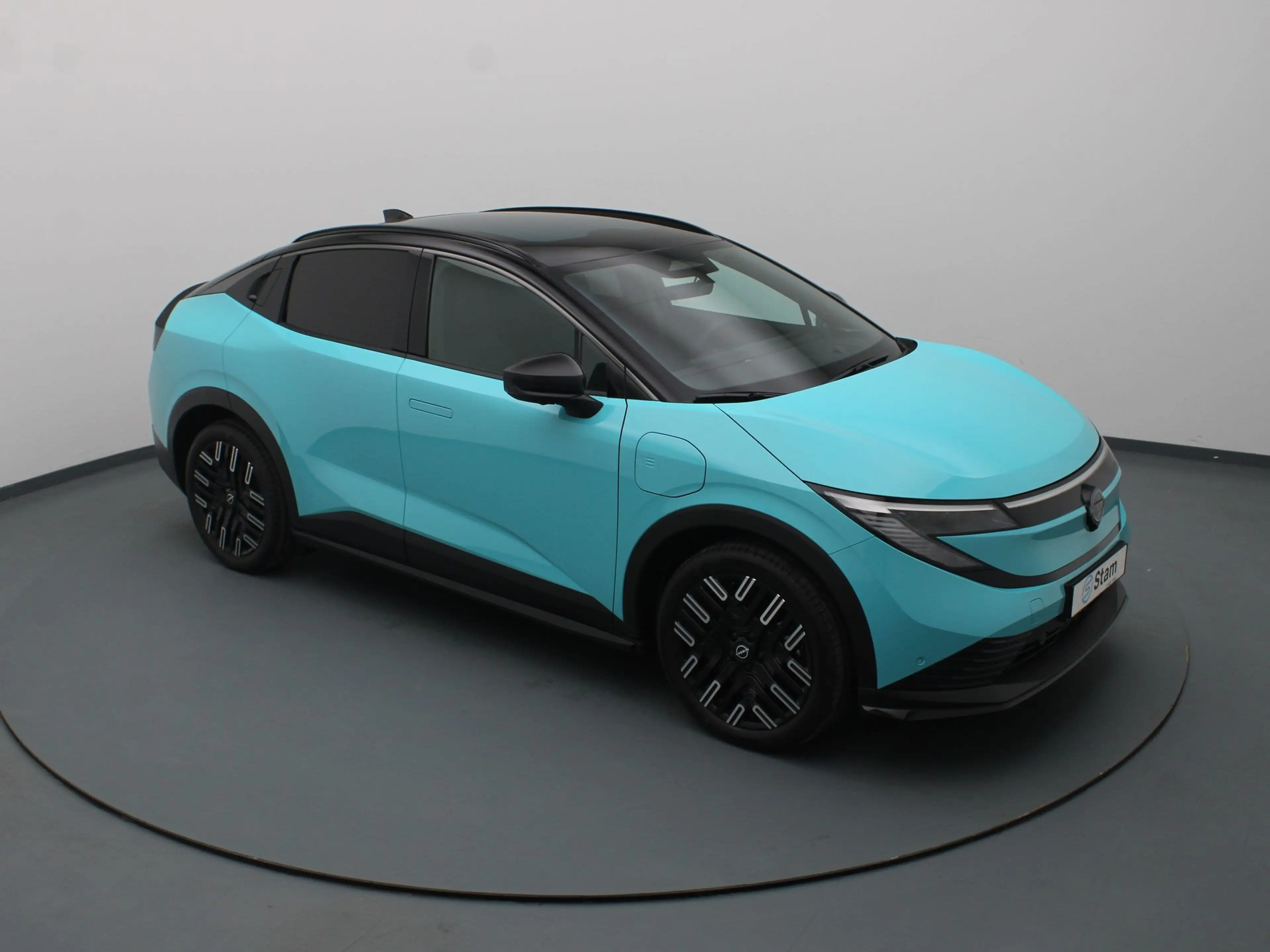 Nissan Leaf Evolve 75 kWh Apple Carplay/Android Auto | Climate — photo 11