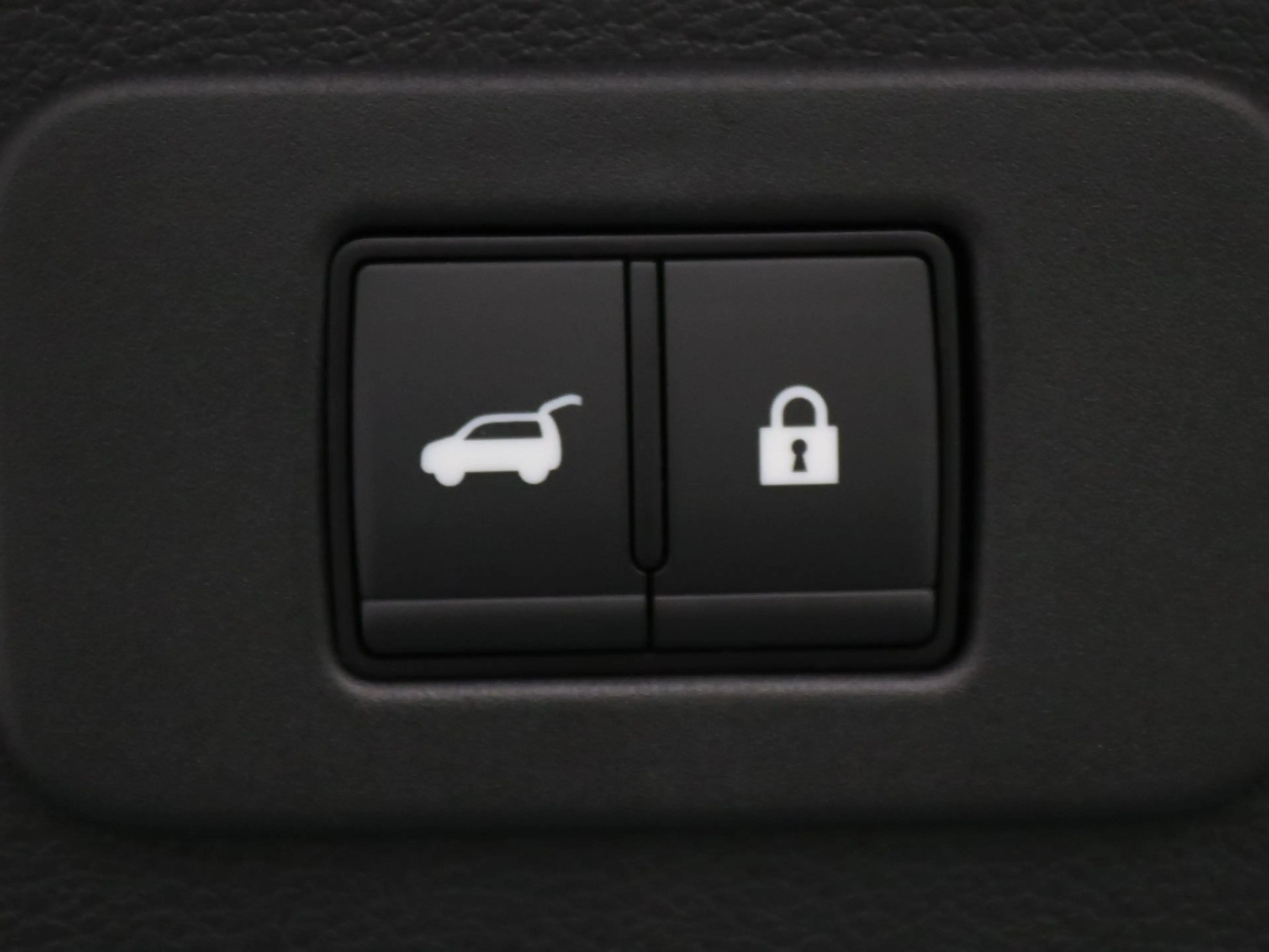 Nissan Leaf Evolve 75 kWh Apple Carplay/Android Auto | Climate — photo 31