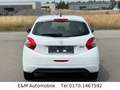 Peugeot 208 Active+1.HAND+KLIMA+TEMPOMAT+HU/AU NEU+ Blanco - thumbnail 6