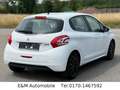 Peugeot 208 Active+1.HAND+KLIMA+TEMPOMAT+HU/AU NEU+ Blanco - thumbnail 5