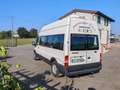 Ford Transit Bus 14 posti Bianco - thumbnail 2