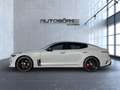 Kia Stinger GT 4WD Sportpacket/PDC Gris - thumbnail 9