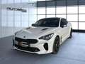 Kia Stinger GT 4WD Sportpacket/PDC Gris - thumbnail 2