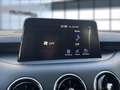 Kia Stinger GT 4WD Sportpacket/PDC Gris - thumbnail 15