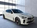 Kia Stinger GT 4WD Sportpacket/PDC Gris - thumbnail 4