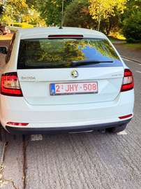 Rapid 1.2 TSI (Green tec) Active
