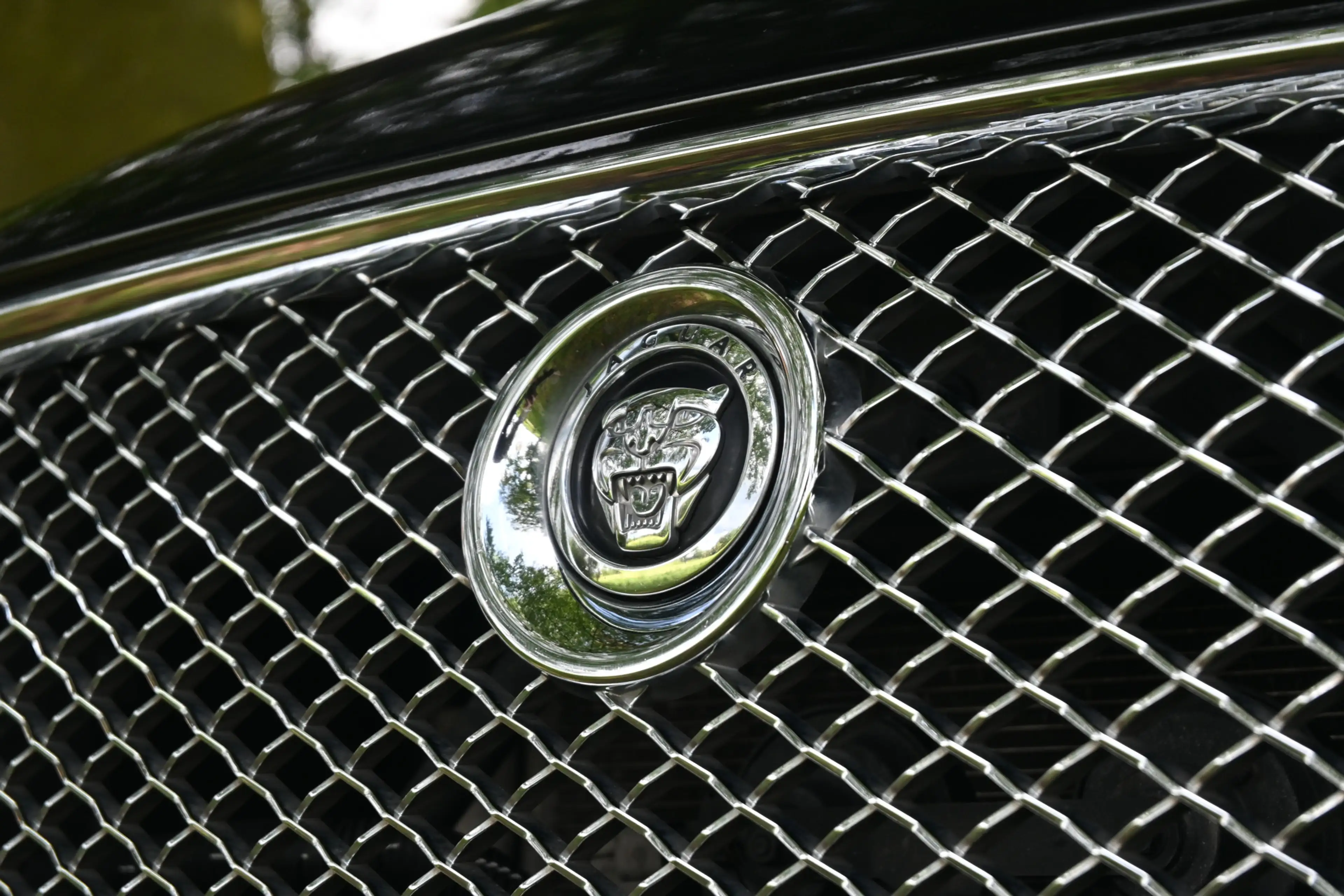 Jaguar XJ 3.0 V6D Premium Luxury — photo 14