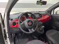 Fiat 500 RED PANORAMA TEMPOMAT KLIMAAUTOMATIK 1.0 Mild H... White - thumbnail 8